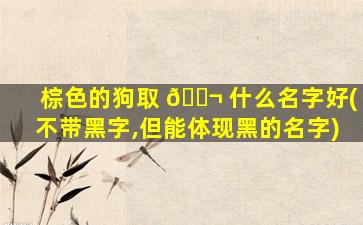 棕色的狗取 🐬 什么名字好(不带黑字,但能体现黑的名字)